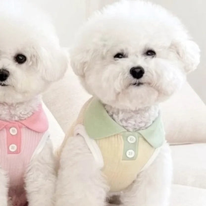 Tricou polo de vară pentru animale de companie – ușor, elegant și confortabil