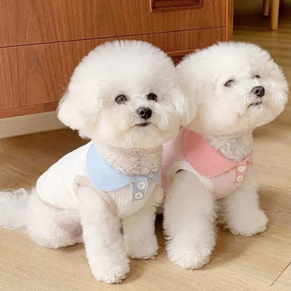 Tricou polo de vară pentru animale de companie – ușor, elegant și confortabil