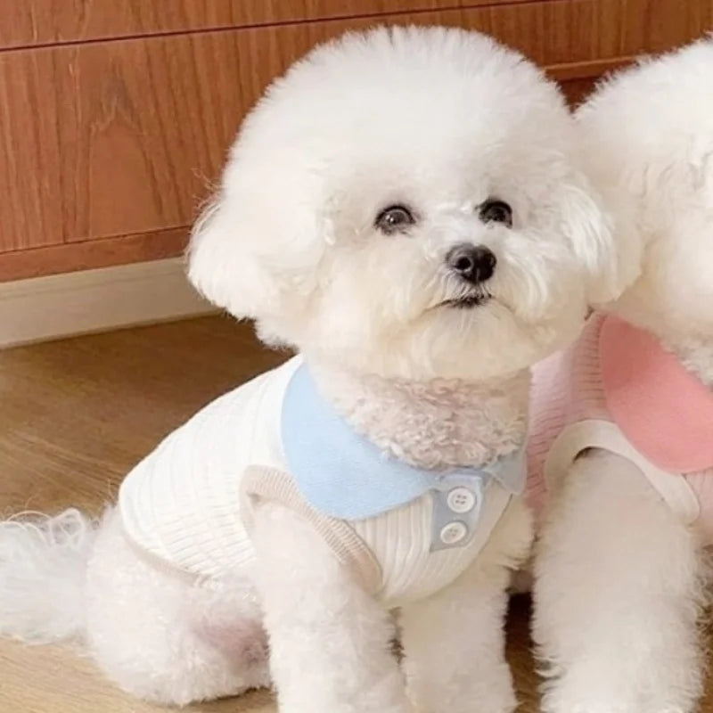 Tricou polo de vară pentru animale de companie – ușor, elegant și confortabil