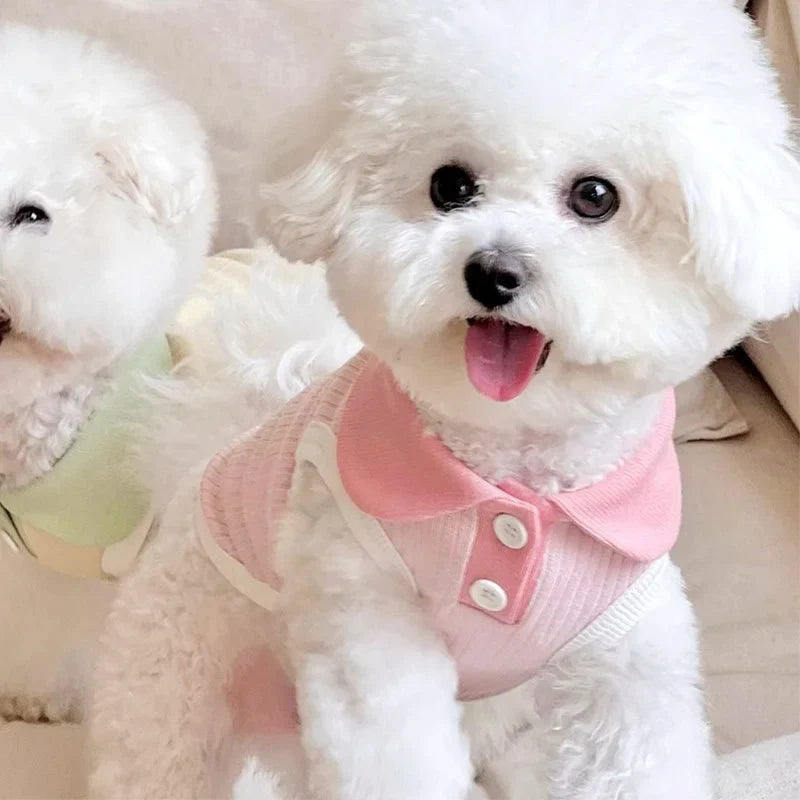 Tricou polo de vară pentru animale de companie – ușor, elegant și confortabil