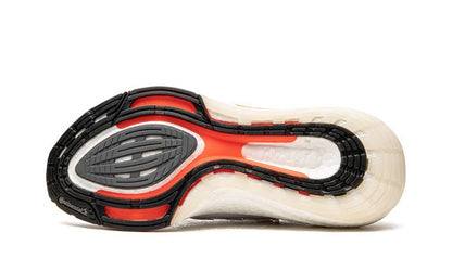 ADDS Ultraboost  21 Tokyo