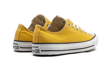 CONV More Converse CT OX