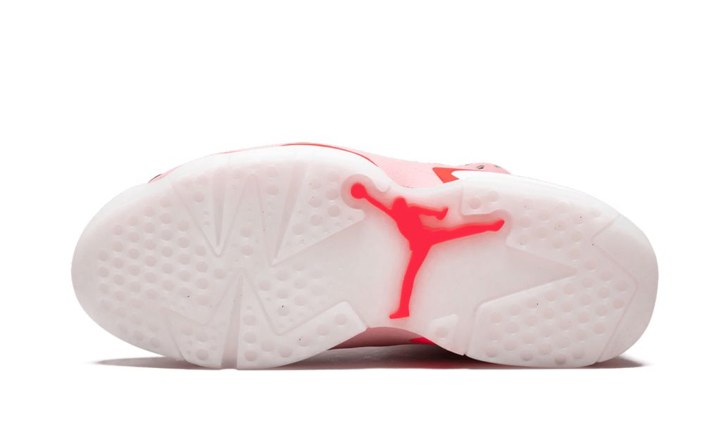 Jordan 6 Retro Aleali May