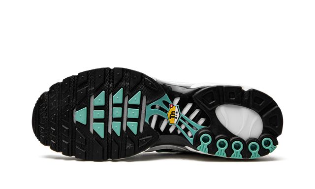 NK Air Max Plus Atmos