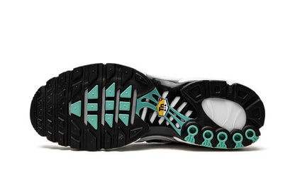 NK Air Max Plus Atmos
