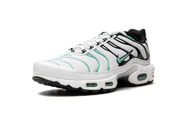 NK Air Max Plus Atmos