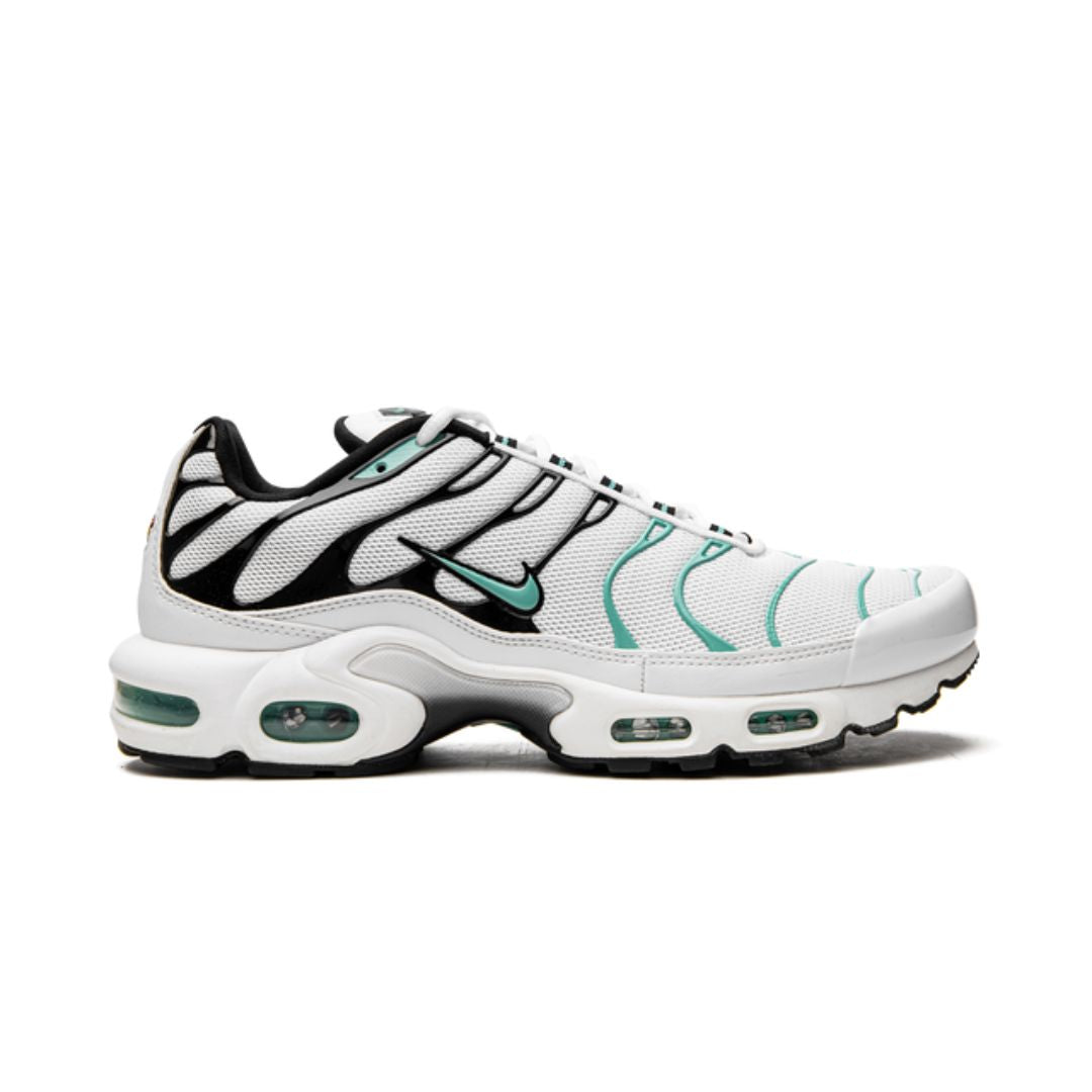 NK Air Max Plus Atmos