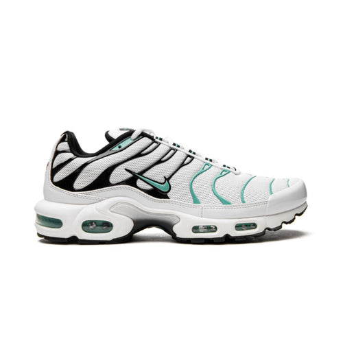 NK Air Max Plus Atmos