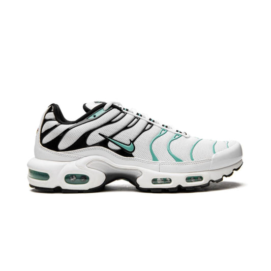 NK Air Max Plus Atmos 