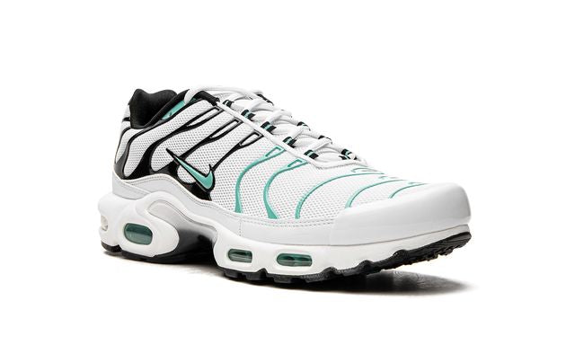 NK Air Max Plus Atmos