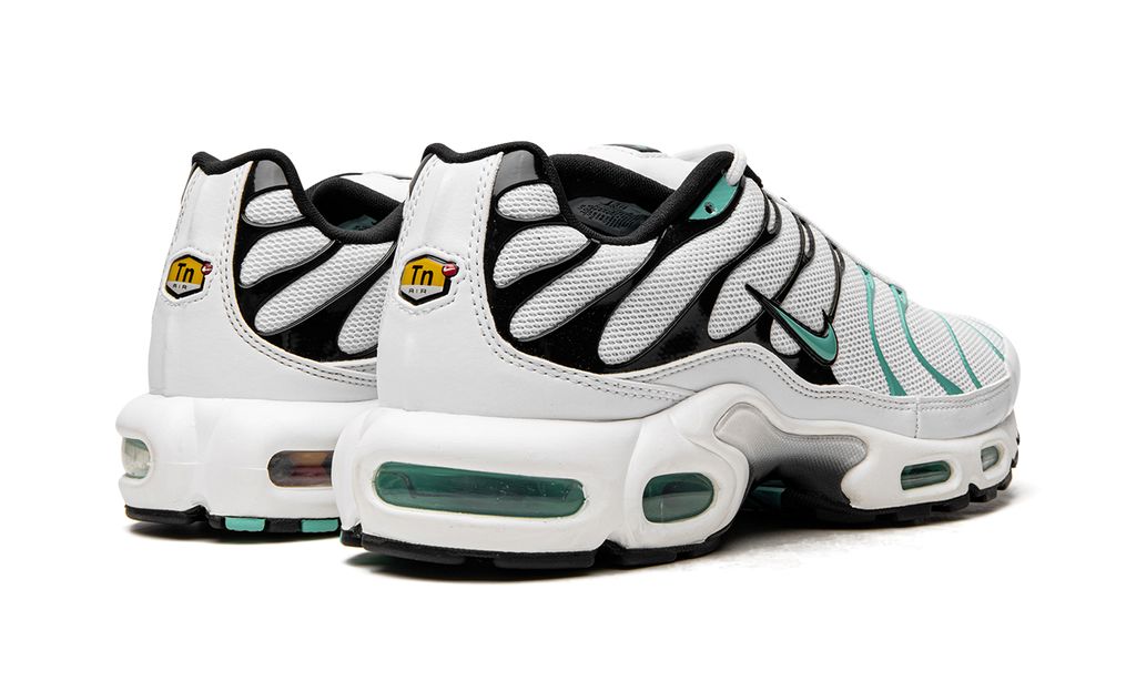 NK Air Max Plus Atmos