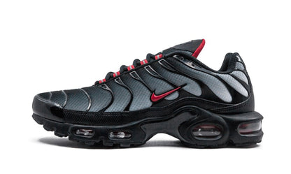NK Air Max Plus Blue and Red