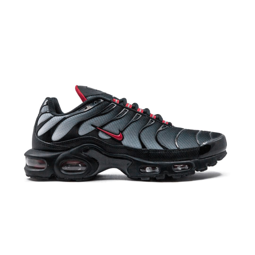 NK Air Max Plus Blue and Red