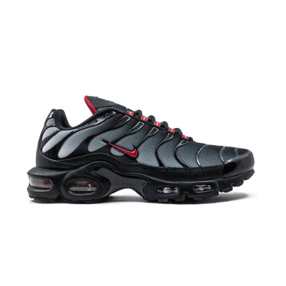 NK Air Max Plus Blue and Red