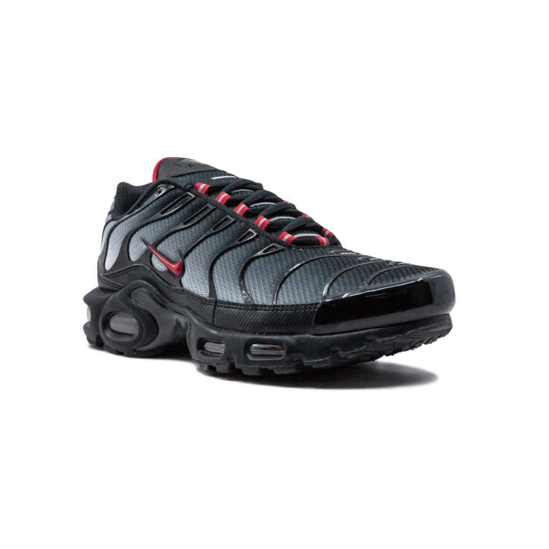 NK Air Max Plus Blue and Red