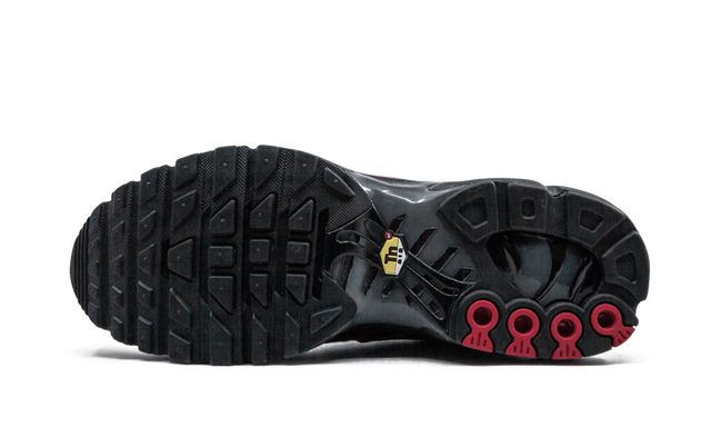 NK Air Max Plus Blue and Red