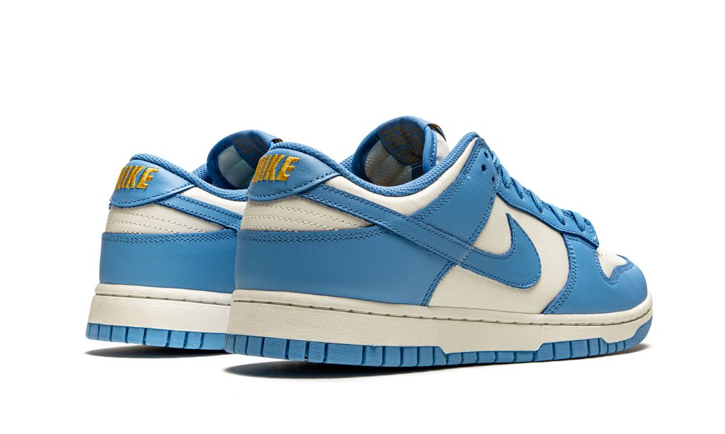 NK Dunk Low Coast