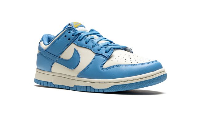 NK Dunk Low Coast