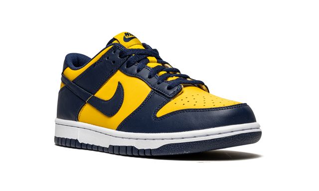 NK Dunk Low Michigan