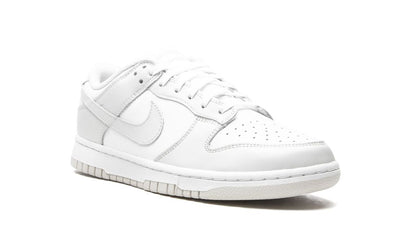 NK Dunk Low Photon Dust