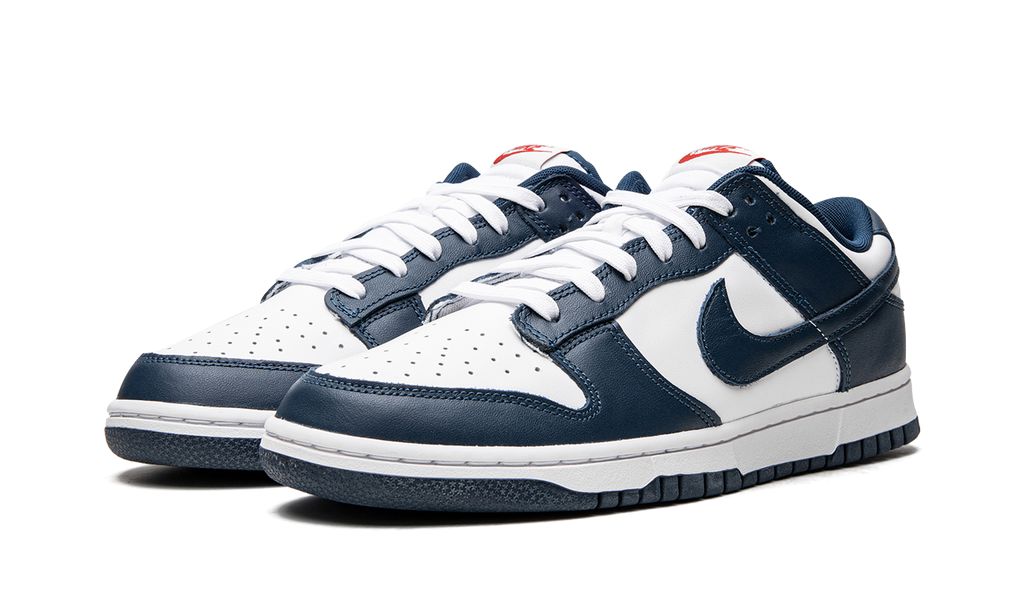 NK Dunk Low Valerian Blue