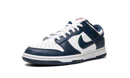 NK Dunk Low Valerian Blue
