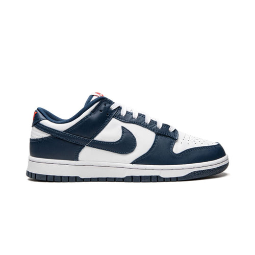 NK Dunk Low Valerian Blue
