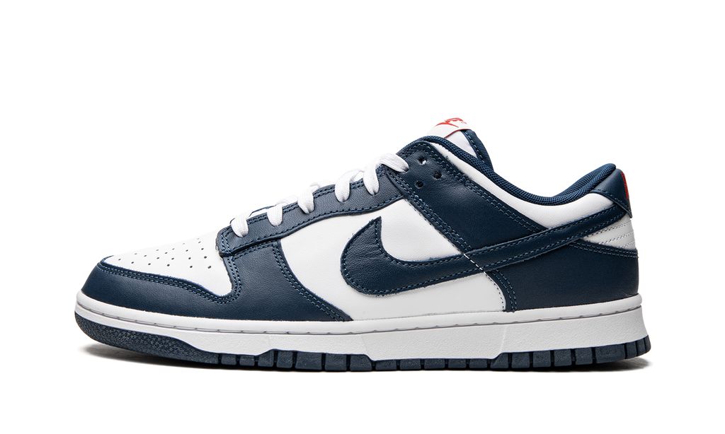 NK Dunk Low Valerian Blue