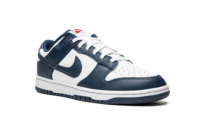 NK Dunk Low Valerian Blue