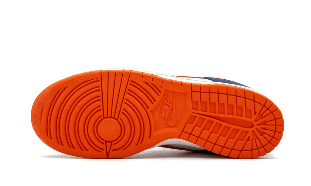 NK SB Dunk Low Broncos